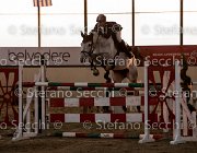 Berlin dei Folletti TosTour2013- S5 3206 : Arezzo, Arezzo Equestrian Centre, Berlin dei Folletti, Cavalli d'Italia, Toscana Tour 2013, foto di Stefano Secchi ©
